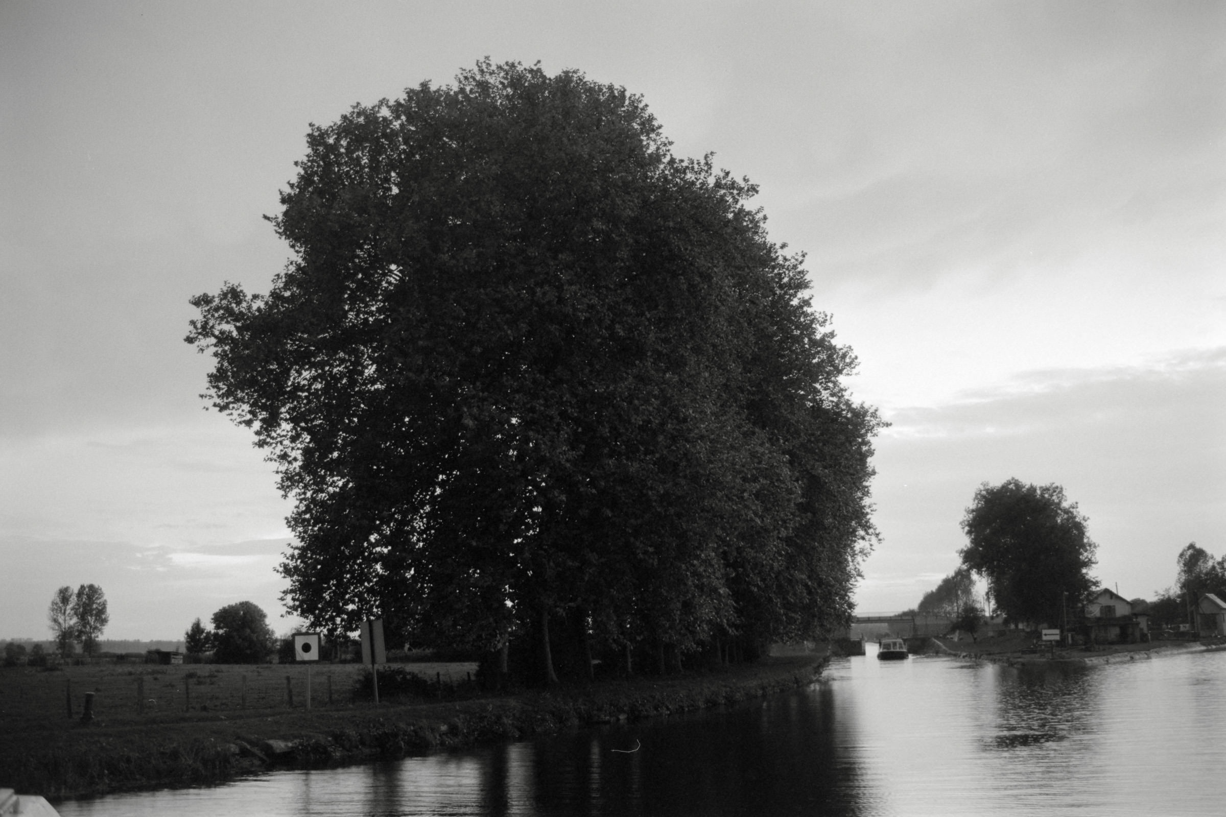 AHP F1990 09 004 sc250506 img17 NLP